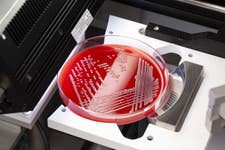 PR Newswire associated1