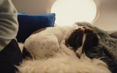 PR Newswire associated1