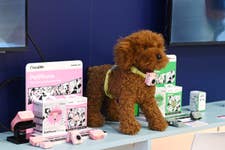 PR Newswire associated2