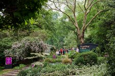 The Houseplant Studios will be located on the plateau in Ranelagh Gardens. Unlike other show categories, visitors are encouraged to step inside these indoor gardens and experience the planting up close.