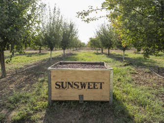 PR Newswire associated0