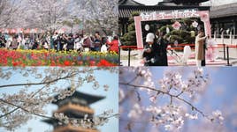 PR Newswire associated0