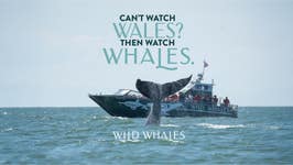 PR Newswire associated0