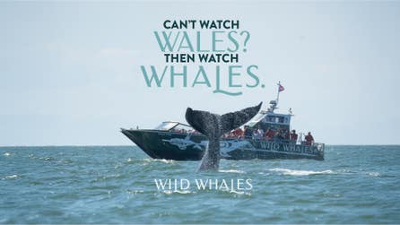 PR Newswire associated0