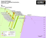 Figure 2: Road Cut Zone Simplified Cross Section – RCZ250