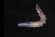 PR Newswire associated1