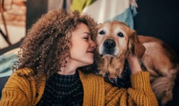 IFF introduces PureStrong™, a probiotic made specifically for dogs.