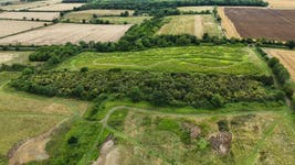 Scrub and nature recovery at the Southill Estate