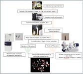 Figure 2: Sequence of the main analytical steps in this research.