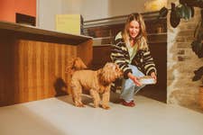 Butternut Box is calling for increased transparency on pet food labels so consumers can easily understand what they’re feeding their pets.