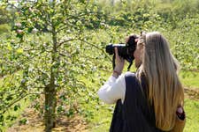 EDITORIAL USE ONLYAsha Overton takes pictures of apple trees in full blossom at Sandford Orchards in Devon, during British Cider Week which runs until Monday, as orchards across the UK welcome visitors during peak apple blossom season. Issue date: Tuesday April 28, 2026. PA Photo.