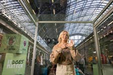 EDITORIAL USE ONLY Tasha Ghouri stands inside a large transparent box installed by RNID (Royal National Institute for Deaf People) at St. Pancras International Station in London to mark Deaf Awareness Week, designed to highlight the communication challenges faced by deaf people and those with hearing loss. Picture date: Wednesday May 6, 2026. PA Photo. The installation invites members of the public to step inside the box to better understand communication barriers, following research showing that almost a quarter of people would avoid conversations with someone who is deaf or has hearing loss if they think it would be difficult to communicate.