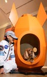 EMBARGOED TO 0001 FRIDAY MAY 8 EDITORIAL USE ONLY Nathaniel Flitcroft age 6 with Milton the Cavalier King Charles Spaniel at the Barkitecture preview evening, showcasing kennel concepts inspired by this year’s brief ‘Dogs in Space’, which will be auctioned by Bonhams at Goodwoof, taking place at the Goodwood Estate in West Sussex next weekend, May 16 and 17. Issue date: Friday May 8, 2026. PA Photo. Sixteen architects and designers from around the world are taking part in the competition, with all monies raised donated to the event’s charity partner, Battersea.