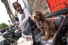 EDITORIAL USE ONLY David Farber with Cooper at The Distinguished Gentleman's Ride at Maltby Street Market in London, one of 80 rides across the UK, with thousands of riders on their vintage motorbikes in their dapper attire celebrating 15 years of the event in support of men’s health and Movember. Picture date: Sunday May 17, 2026. PA Photo. Photo credit should read: Jeff Spicer/PA Media Assignments