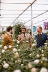 David Austin©️ Roses - Chelsea Flower Show 2026 - Sir David Beckham Unveils New David Austin®️ Rose Named in His Honour at RHS Chelsea Flower Show Today. Pictured here with David J.C. Austin and Richard Austin.
