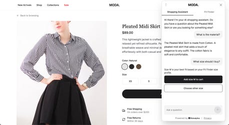 AI Shopping Assistant - Fit Analytics Innovation
