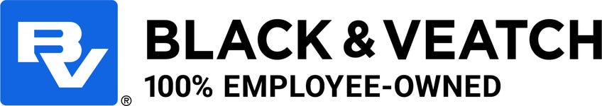 Business Wire logo