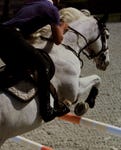 The Premier Jumping League (PJL), photographed by Daniel Benson.