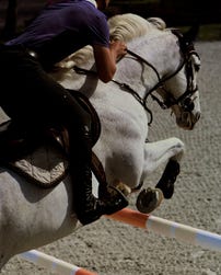 The Premier Jumping League (PJL), photographed by Daniel Benson.