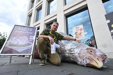 Chris Packham posing with the 4-metre "Frankenwrap"