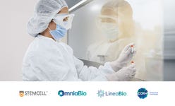 Business Wire embedded0