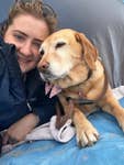 Vet Amy Jennings on a beach trip with her dog Elsie.