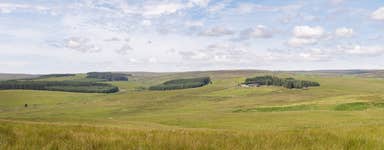 Emblehope & Burngrange Estate.