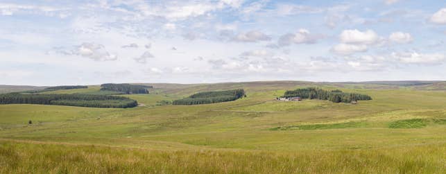 Emblehope & Burngrange Estate.