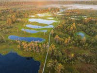 Viru Bog, Estonia - an inspiring example of a healthy and functioning mosaic landscape.